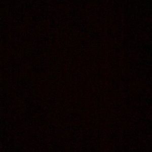 Meet your Posher, Torrance